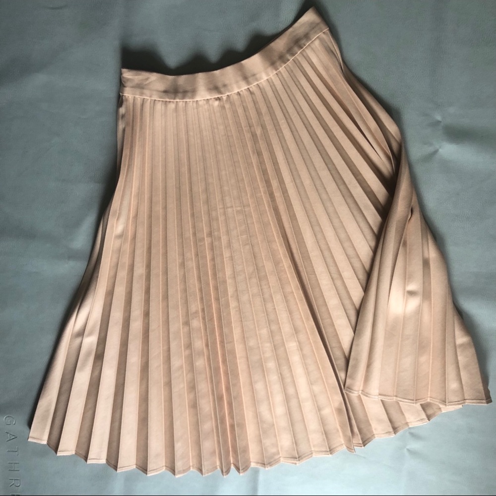Blush Zara Woman Pleated Skirt